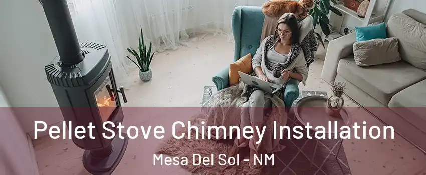 Pellet Stove Chimney Installation Mesa Del Sol - NM