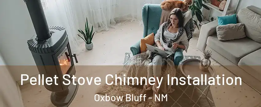 Pellet Stove Chimney Installation Oxbow Bluff - NM