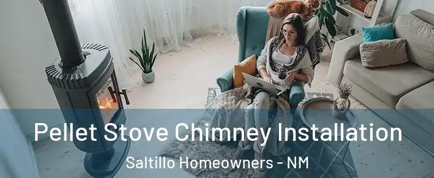 Pellet Stove Chimney Installation Saltillo Homeowners - NM