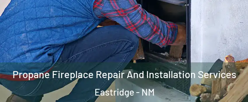 Propane Fireplace Repair And Installation Services Eastridge - NM