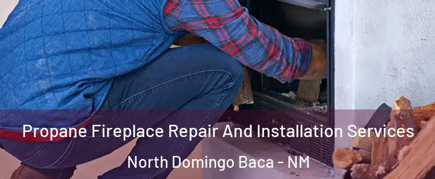 Propane Fireplace Repair And Installation Services North Domingo Baca - NM