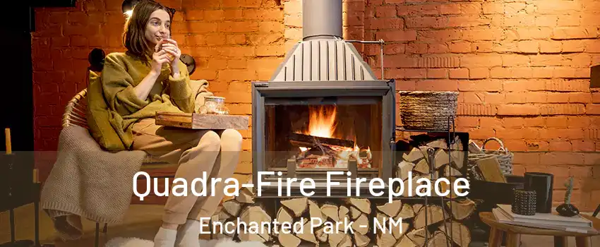 Quadra-Fire Fireplace Enchanted Park - NM