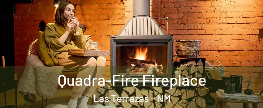 Quadra-Fire Fireplace Las Terrazas - NM