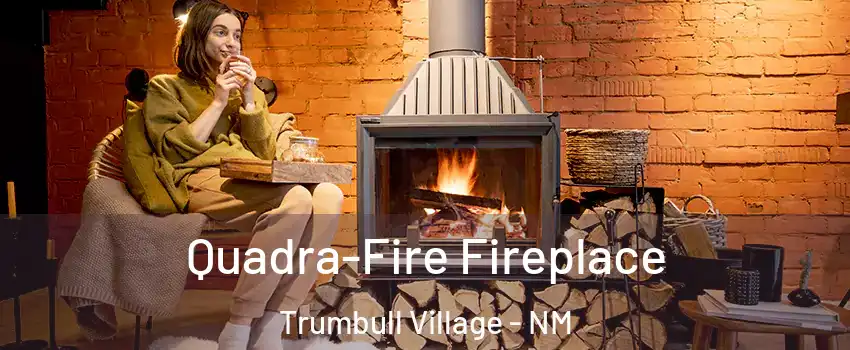 Quadra-Fire Fireplace Trumbull Village - NM