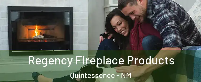 Regency Fireplace Products Quintessence - NM