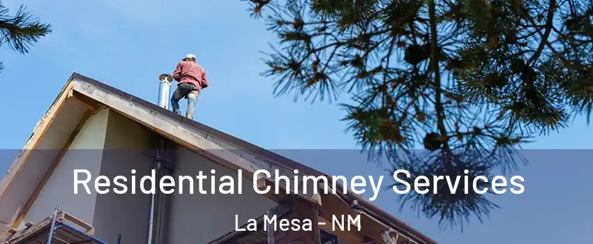 Residential Chimney Services La Mesa - NM