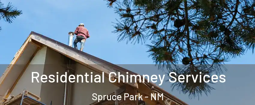 Residential Chimney Services Spruce Park - NM