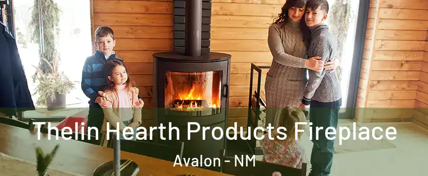 Thelin Hearth Products Fireplace Avalon - NM