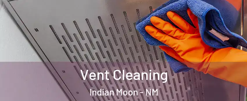 Vent Cleaning Indian Moon - NM