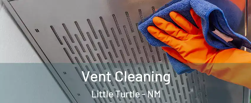 Vent Cleaning Little Turtle - NM