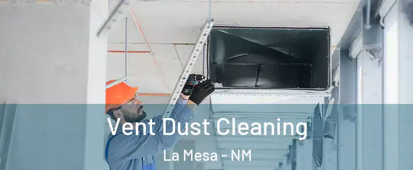 Vent Dust Cleaning La Mesa - NM