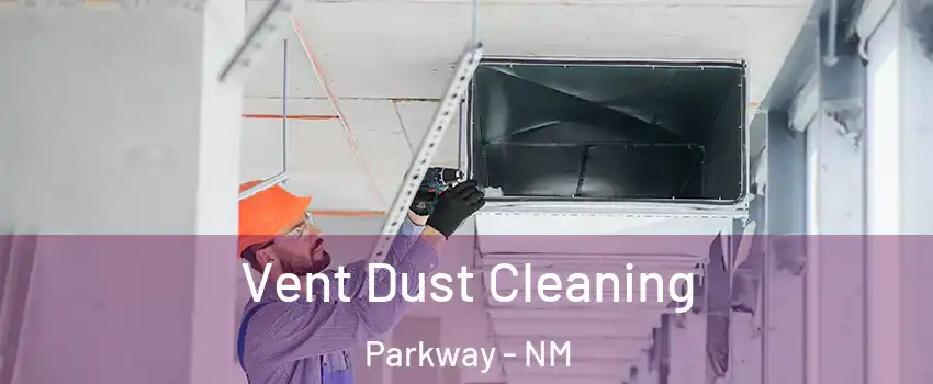 Vent Dust Cleaning Parkway - NM