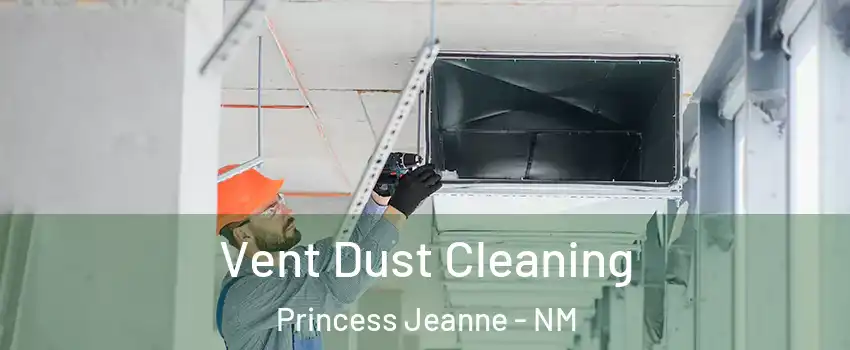 Vent Dust Cleaning Princess Jeanne - NM