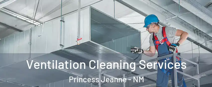 Ventilation Cleaning Services Princess Jeanne - NM