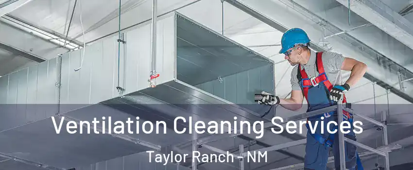 Ventilation Cleaning Services Taylor Ranch - NM