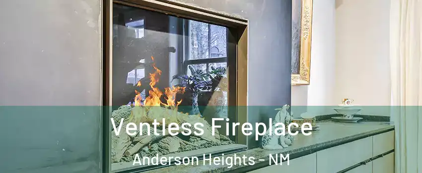 Ventless Fireplace Anderson Heights - NM