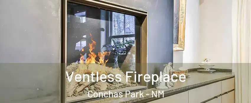 Ventless Fireplace Conchas Park - NM