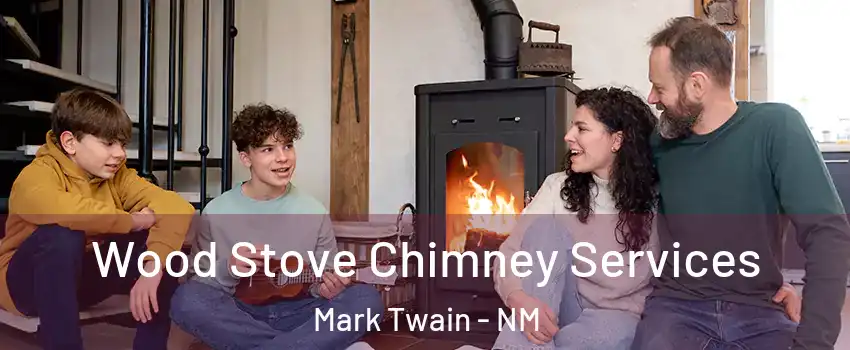 Wood Stove Chimney Services Mark Twain - NM