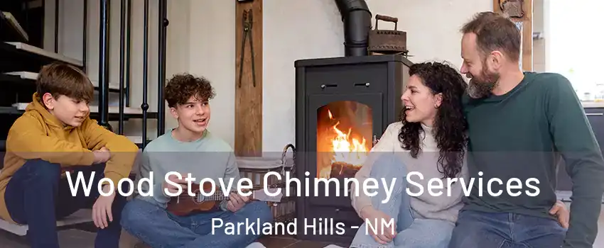 Wood Stove Chimney Services Parkland Hills - NM