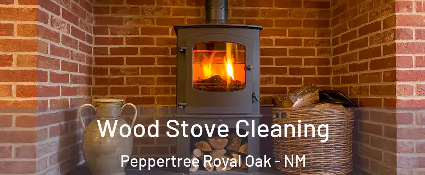 Wood Stove Cleaning Peppertree Royal Oak - NM