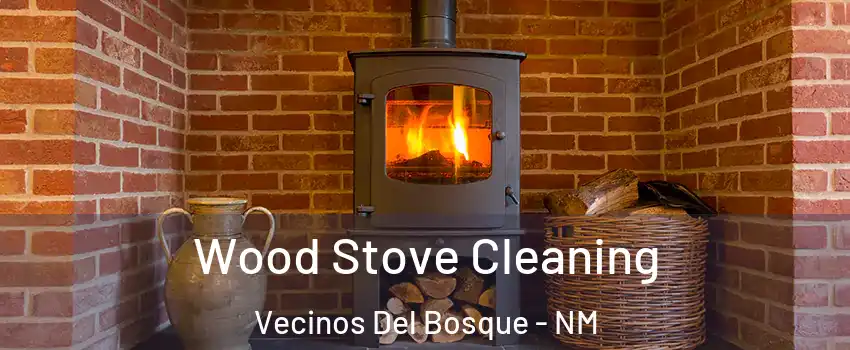 Wood Stove Cleaning Vecinos Del Bosque - NM